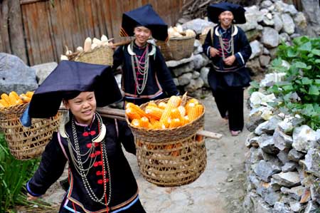 Women of Dark Cloth Zhuang carry corns in Napo county, southwest China's Guangxi Zhuang Autonomous Region, Sept. 23, 2009. 