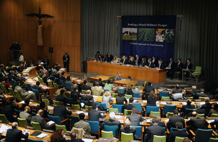 More than 100 members of the United Nations, its agencies, non-governmental organizations and private foundations attend the conference to discuss global food security issues at the UN headquarters in New York, the United States, Sept. 26, 2009. (Xinhua/Shen Hong)