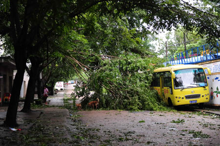 A tree blown down by the typhoon Kestana lies on the road and blocks the traffic on the street of Qionghai, south China's Hainan Province, Sept. 29, 2009. The typhoon Kestana has affected Qionghai City with continuous gale and forced a local hydropower station to stop work. [Xinhua]