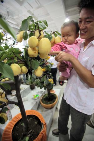 People visit the 7th China Flower Expo held in the Shunyi District of Beijing, capital of China, Oct. 2, 2009. (Xinhua/Chen Xiaogen)