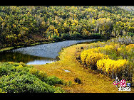 Daxinganling, also known as the Greater Khingan Range, is a volcanic mountain range in northeastern China. This region is covered by forests of larch, birch, aspen and pine, with shrub cover on the highest elevations. It is rich in wildlife, including deer, elk, marten, hare and many other fur-bearing animals. These photos were taken in September of 2009 by Yu Wenbin.