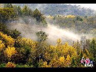 Daxinganling, also known as the Greater Khingan Range, is a volcanic mountain range in northeastern China. This region is covered by forests of larch, birch, aspen and pine, with shrub cover on the highest elevations. It is rich in wildlife, including deer, elk, marten, hare and many other fur-bearing animals. These photos were taken in September of 2009 by Yu Wenbin.