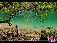 Jiuzhaigou Valley is a nature reserve in northern Sichuan province of China.It is known for its many multi-level waterfalls and colorful lakes, and was declared a UNESCO World Heritage Site in 1992.Jiuzhaigou lies at the southern end of the Minshan mountain range, 330 km north of the provincial capital of Chengdu. It is part of the Jiuzhaigou County (formerly Nanping County) in the Aba Tibetan Qiang Autonomous Prefecture of northwestern Sichuan province, near the Gansu border. [Photo by Liu Guoxing] 