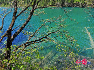 Jiuzhaigou Valley is a nature reserve in northern Sichuan province of China.It is known for its many multi-level waterfalls and colorful lakes, and was declared a UNESCO World Heritage Site in 1992.Jiuzhaigou lies at the southern end of the Minshan mountain range, 330 km north of the provincial capital of Chengdu. It is part of the Jiuzhaigou County (formerly Nanping County) in the Aba Tibetan Qiang Autonomous Prefecture of northwestern Sichuan province, near the Gansu border. [Photo by Liu Guoxing] 