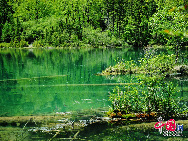 Jiuzhaigou Valley is a nature reserve in northern Sichuan province of China.It is known for its many multi-level waterfalls and colorful lakes, and was declared a UNESCO World Heritage Site in 1992.Jiuzhaigou lies at the southern end of the Minshan mountain range, 330 km north of the provincial capital of Chengdu. It is part of the Jiuzhaigou County (formerly Nanping County) in the Aba Tibetan Qiang Autonomous Prefecture of northwestern Sichuan province, near the Gansu border. [Photo by Liu Guoxing] 