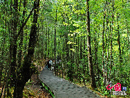 Jiuzhaigou Valley is a nature reserve in northern Sichuan province of China.It is known for its many multi-level waterfalls and colorful lakes, and was declared a UNESCO World Heritage Site in 1992.Jiuzhaigou lies at the southern end of the Minshan mountain range, 330 km north of the provincial capital of Chengdu. It is part of the Jiuzhaigou County (formerly Nanping County) in the Aba Tibetan Qiang Autonomous Prefecture of northwestern Sichuan province, near the Gansu border. [Photo by Liu Guoxing] 