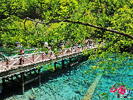 Jiuzhaigou Valley is a nature reserve in northern Sichuan province of China.It is known for its many multi-level waterfalls and colorful lakes, and was declared a UNESCO World Heritage Site in 1992.Jiuzhaigou lies at the southern end of the Minshan mountain range, 330 km north of the provincial capital of Chengdu. It is part of the Jiuzhaigou County (formerly Nanping County) in the Aba Tibetan Qiang Autonomous Prefecture of northwestern Sichuan province, near the Gansu border. [Photo by Liu Guoxing] 