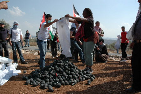 Palestinians, Israelis and foreign demonstrators display the tear gas cases that were fired by Israeli troops during a demonstration against Israel's separation barrier in the West Bank village of Bilin, near Ramallah, on Oct. 9, 2009. [Nidal Eshtayeh/Xinhua]