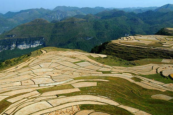 This photo taken on October 6 shows the scenery surrounding the Miao ethnic minority village in Gaopo, southwest Guiyang. The annual harvest is drawing to a close in the village, leaving an impressive golden terrace on the highland. [Photo: xinhua]