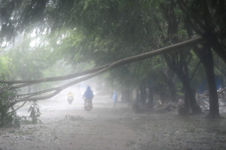 A tree trunk blown down by the gale lies in the middle of the street in Qionghai City, as the forefront of tropical storm Parma starts to affect south China's Hainan Province, Oct. 12, 2009. According to the Hainan Provincial Meteorologic Bureau, the tropical storm Parma is about to land on Hainan Island on the daytime of October 12. [Meng Zhongde/Xinhua]