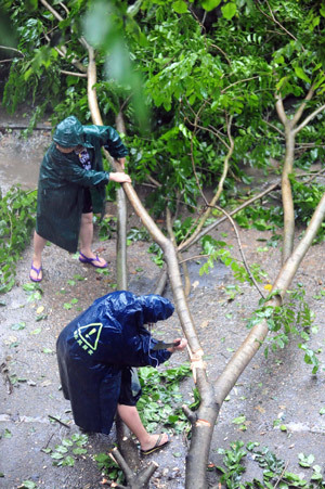 Two local cizitens clear away the tree trunk and twigs blown down by the gale in Qionghai City, as the forefront of tropical storm Parma starts to affect south China's Hainan Province, Oct. 12, 2009. [Meng Zhongde/Xinhua]