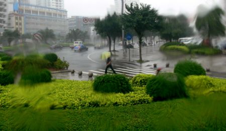 A man walks in the rain in Haikou, capital of south China's island Province of Hainan, Oct. 12, 2009.[Xing Limin/Xinhua]