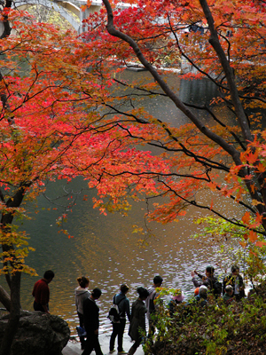 Autumn colours are seen in the leaves of trees in Kuandian Man autonomous county, a place famous for its golden leaves in autumn, Dandong City, northeast China's Liaoning Province, Oct. 11, 2009.[Chen Hao/Xinhua]