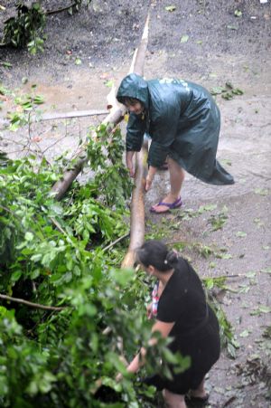 People clear branches on a road in Qionghai City, south China's island Province of Hainan, Oct. 12, 2009. The tropical storm Parma made a powerful landing in Hainan Monday, packing winds of up to 54 km per hour, according to the Hainan Provincial Observatory.(