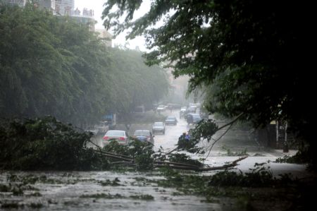 Branches levelled by heavy winds block the vehicles in Qionghai City, south China's island Province of Hainan, Oct. 12, 2009.(