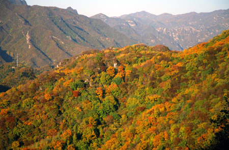 Photo taken on Oct. 14, 2009 shows the idyllic autumn scenery in Yanqi Township of Huairou District of Beijing, capital of China. The mountainside forest has been tainted with graceful colors in the season of autumn. [Bu Xiangdong/Xinhua]