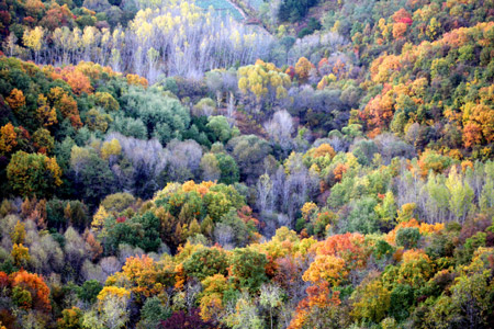 Photo taken on Oct. 14, 2009 shows the idyllic autumn scenery in Yanqi Township of Huairou District of Beijing, capital of China. [Bu Xiangdong/Xinhua]