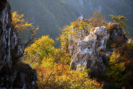  Photo taken on Oct. 14, 2009 shows the idyllic autumn scenery in Yanqi Township of Huairou District of Beijing, capital of China. [Bu Xiangdong/Xinhua]