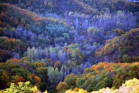 Photo taken on Oct. 14, 2009 shows the idyllic autumn scenery in Yanqi Township of Huairou District of Beijing, capital of China. [Bu Xiangdong/Xinhua] 