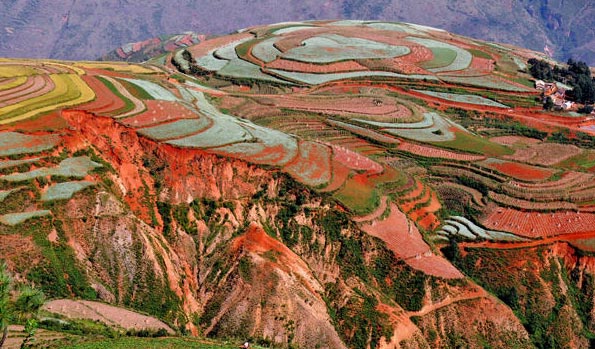 This photo shows the picturesque red earth landscape of Dongchuan District in Kunming, capital city of southwest China's Yunnan Province, on Saturday, October 10, 2009. As autumn arrives, the forests and fields at Dongchuan have taken on a variety of fall colors, creating a miraculous natural painting. [Photo: xinhua]