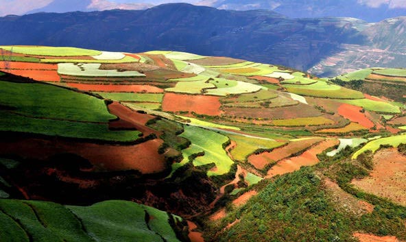  This photo shows the picturesque red earth landscape of Dongchuan District in Kunming, capital city of southwest China's Yunnan Province, on Saturday, October 10, 2009. As autumn arrives, the forests and fields at Dongchuan have taken on a variety of fall colors, creating a miraculous natural painting. [Photo: xinhua]