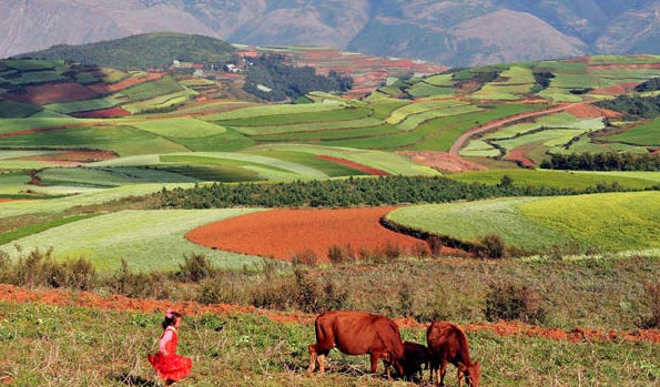 This photo shows the picturesque red earth landscape of Dongchuan District in Kunming, capital city of southwest China's Yunnan Province, on Saturday, October 10, 2009. As autumn arrives, the forests and fields at Dongchuan have taken on a variety of fall colors, creating a miraculous natural painting. [Photo: xinhua]