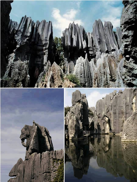 Stone forest in China [CRI]