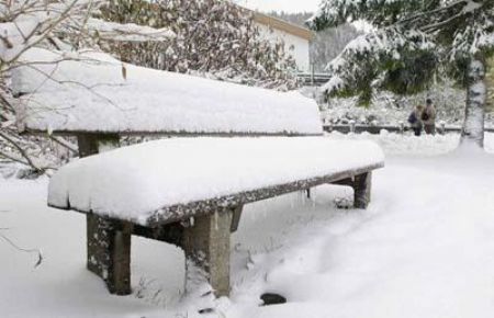 People take a walk through the snow-covered landscape at lake Spitzingsee during the first snowfall in southern Germany.[CCTV]