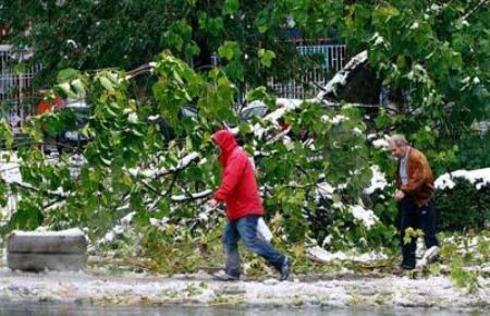 People make their way through streets blocked by fallen trees in Sarajevo. Heavy snowfall knocked out power in the Bosnian capital.[CCTV] 