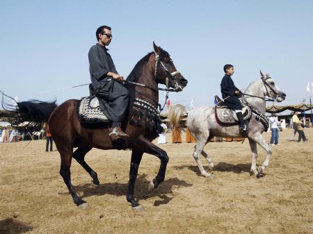 Arabian horses march during the El-Sharkia 18th Arab Horse Festival in the Egyptian town of Belbies, 100 km north of Cairo, Oct. 17, 2009.[Xinhua]