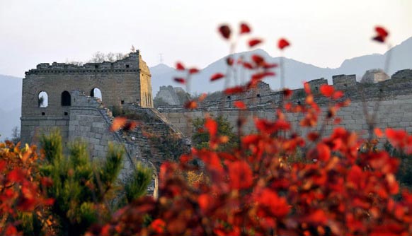 The red leaves scenic zones at Badaling National Forest Park.[xinhua]