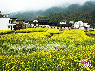 Wuyuan, known as the 'most beautiful countryside in China,' is home to at least 50 old villages.Wuyuan lies in the center of the 'tourist golden triangle' formed by the Yellow Mountain (Anhui Province), Mt. Lushan, and Jingdezhen, China's 'Porcelain Capital.' (Jiangxi Province). [Photo by Chen Yan]