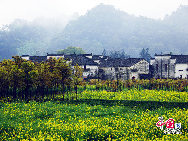 Wuyuan, known as the 'most beautiful countryside in China,' is home to at least 50 old villages.Wuyuan lies in the center of the 'tourist golden triangle' formed by the Yellow Mountain (Anhui Province), Mt. Lushan, and Jingdezhen, China's 'Porcelain Capital.' (Jiangxi Province). [Photo by Chen Yan]