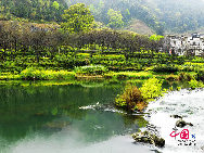 Wuyuan, known as the 'most beautiful countryside in China,' is home to at least 50 old villages.Wuyuan lies in the center of the 'tourist golden triangle' formed by the Yellow Mountain (Anhui Province), Mt. Lushan, and Jingdezhen, China's 'Porcelain Capital.' (Jiangxi Province). [Photo by Chen Yan]