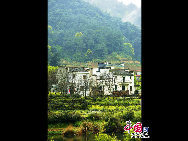 Wuyuan, known as the 'most beautiful countryside in China,' is home to at least 50 old villages.Wuyuan lies in the center of the 'tourist golden triangle' formed by the Yellow Mountain (Anhui Province), Mt. Lushan, and Jingdezhen, China's 'Porcelain Capital.' (Jiangxi Province). [Photo by Chen Yan]