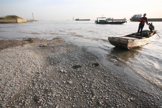 Photo taken on Oct. 20, 2009 shows the bare riverbed of Gaogang reach of Yangtze River in Taizhou, China's Jiangsu Province. [Xinhua]