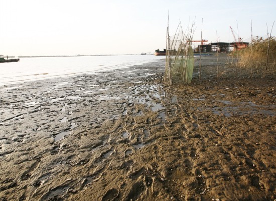 Photo taken on Oct. 20, 2009 shows the bare riverbed of Gaogang reach of Yangtze River in Taizhou, China's Jiangsu Province. [Xinhua]