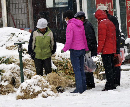 Local residents trade in a bazaar in Hexigten Banner, north China's Inner Mongolia Region, Oct. 20, 2009. A snowfall hit the area on Tuesday. [Xinhua]