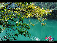 Dinghu Mountain is located in Dinghu District, 18km to the east of Zhaoqing City, in the Dayunwu Mountain Range, in Guangdong Province of southern China. It is one of the four famous mountains - Danxia, Dinghu, Xiqiao and Luofu in Guangdong Province. With a nickname as 'a living museum of nature', Dinghu Mountain is a popular tour site.[Photo by Liu Guoxing]