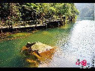 Dinghu Mountain is located in Dinghu District, 18km to the east of Zhaoqing City, in the Dayunwu Mountain Range, in Guangdong Province of southern China. It is one of the four famous mountains - Danxia, Dinghu, Xiqiao and Luofu in Guangdong Province. With a nickname as 'a living museum of nature', Dinghu Mountain is a popular tour site.[Photo by Liu Guoxing]