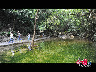 Dinghu Mountain is located in Dinghu District, 18km to the east of Zhaoqing City, in the Dayunwu Mountain Range, in Guangdong Province of southern China. It is one of the four famous mountains - Danxia, Dinghu, Xiqiao and Luofu in Guangdong Province. With a nickname as 'a living museum of nature', Dinghu Mountain is a popular tour site. [Photo by Liu Guoxing]