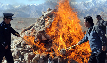 A policeman and an official of Hoh Xil Nature Reserve Administration set fire to Tibetan antelope hides confiscated from poachers in Golmud, in northwest China's Qinghai province, October 22, 2009.[Xinhua]