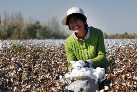 A farmer picks cotton in the field in Korla, west China's Xinjiang Autonomous Region, Oct. 22, 2009. The purchasing price of cotton in some places of Xinjiang raise from 5.6 yuan per kg in 2008 to 6.2 yuan per kg. [Xinhua]