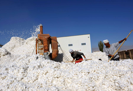 Farmers arrange cotton in Korla, west China's Xinjiang Autonomous Region, Oct. 22, 2009. The purchasing price of cotton in some places of Xinjiang raise from 5.6 yuan per kg in 2008 to 6.2 yuan per kg. [Xinhua]