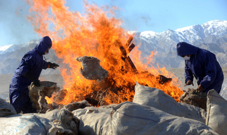 Workers of Hoh Xil Nature Reserve Administration burn Tibetan antelope hides confiscated from poachers in Golmud, in northwest China's Qinghai province, October 22, 2009. [Xinhua] 