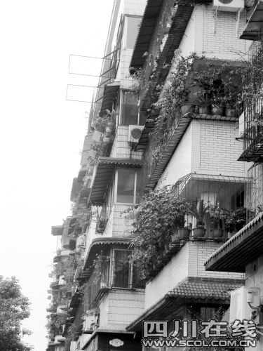 The undated photo shows flourishing flowers growing on residents' balconies in Hongya county of southwest China's Sichuan province.