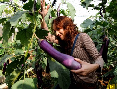 A visitor checks an eggplant at Guangxi Modern Agricultural Science and Technology Demonstration Zone, in Nanning, capital of southwest China's Guangxi Zhuang Autonomous Region, on Oct. 23, 2009.(Xinhua/Zhang Ailin)