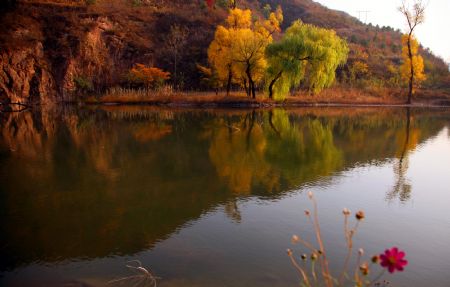 Photo taken on Oct. 24, 2009 shows the idyllic autumn scenery in the mountain area of Huairou District, the outskirt of Beijing, China. (Xinhua/Pu Xiangdong)