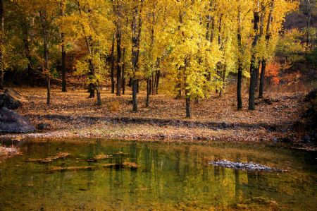 Photo taken on Oct. 24, 2009 shows the idyllic autumn scenery in the mountain area of Huairou District, the outskirt of Beijing, China. (Xinhua/Pu Xiangdong)