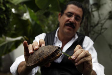 Honduras' ousted President Manuel Zelaya feeds a turtle at the Brazilian embassy in Tegucigalpa October 25, 2009.